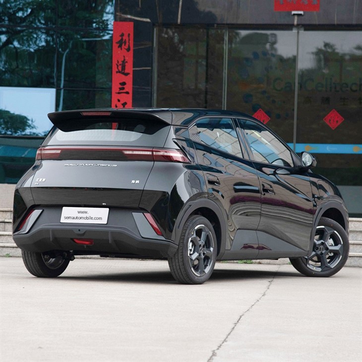2024 BYD Seagull glory Flying Edition 405km 