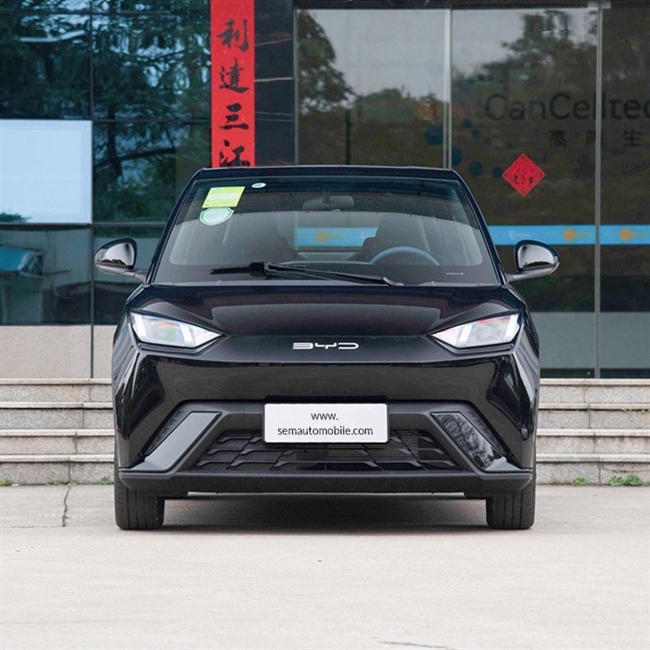 2024 BYD Seagull Flying Edition